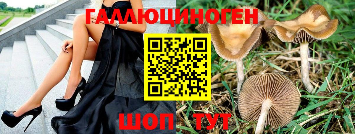 Псилоцибиновые грибы MAGIC MUSHROOMS Малоярославец