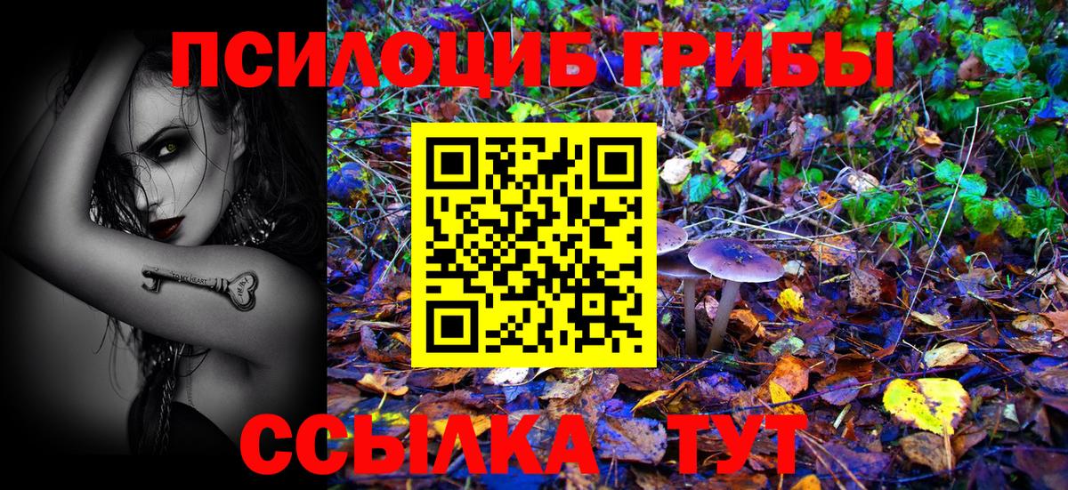 Галлюциногенные грибы прущие грибы  Галлюциногенные грибы ЛСД  как найти   Малоярославец  Вход с VPN 